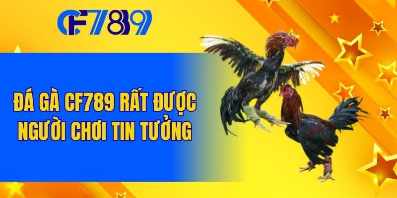 Đá gà CF789 rất được người chơi tin tưởng