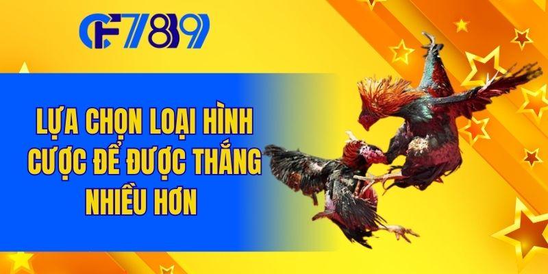 Lựa chọn loại hình cược để được thắng nhiều hơn