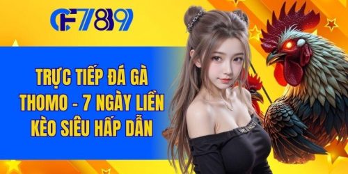 Trực Tiếp Đá Gà Thomo - 7 Ngày Liền Kèo Siêu Hấp Dẫn