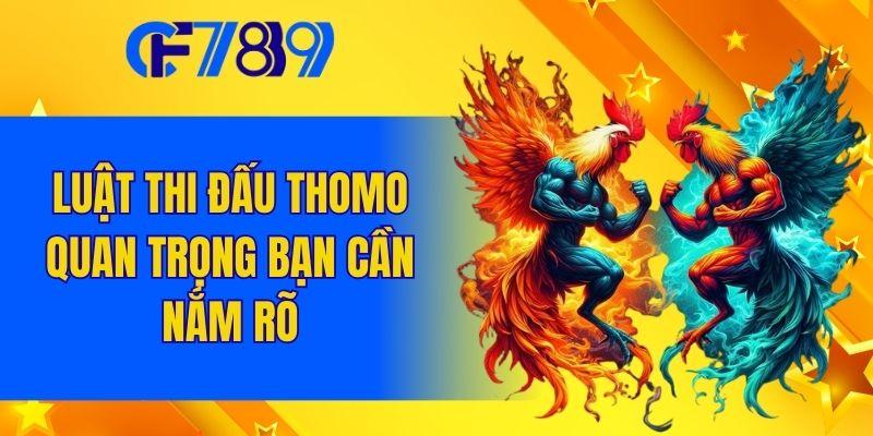Luật thi đấu Thomo quan trọng bạn cần nắm rõ