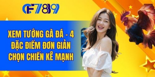 Xem Tướng Gà Đá - 4 Đặc Điểm Đơn Giản Chọn Chiến Kê Mạnh