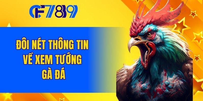 Đôi nét thông tin về xem tướng gà đá