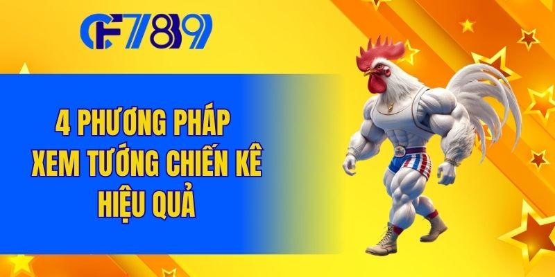 4 phương pháp xem tướng chiến kê hiệu quả