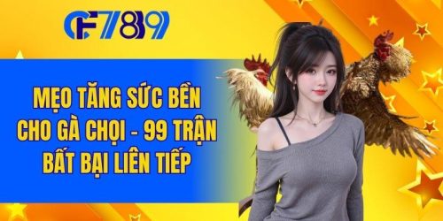 Mẹo Tăng Sức Bền Cho Gà Chọi - 99 Trận Bất Bại Liên Tiếp