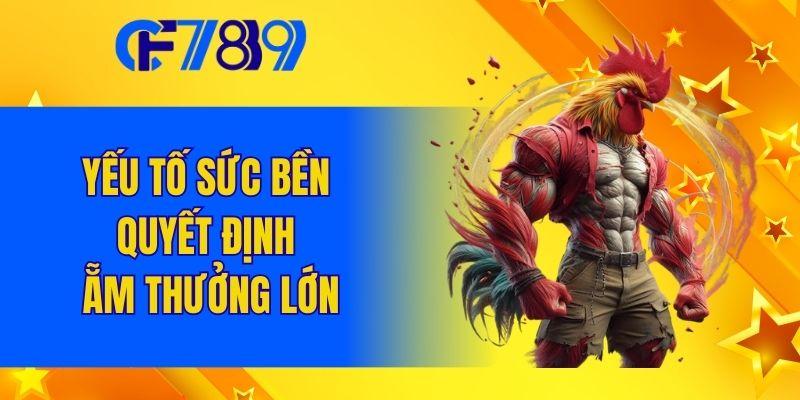 Yếu tố sức bền quyết định ẵm thưởng lớn