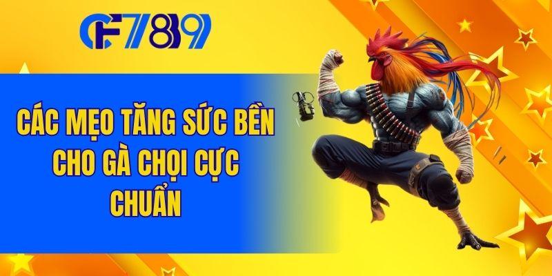 Các mẹo tăng sức bền cho gà chọi cực chuẩn